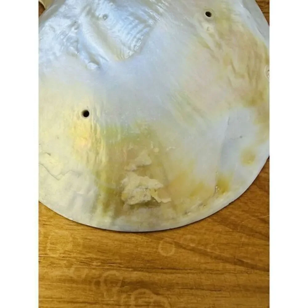 Vintage Large Genuine‎ Mother Of Pearl Sea Shell Caviar Dish Trinket Tray Plate